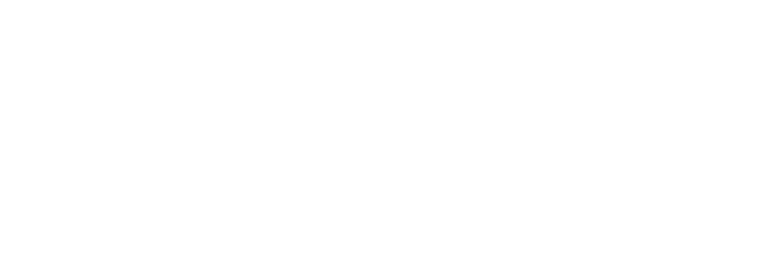 Morin Snyman LOGO Wide White 1 scaled